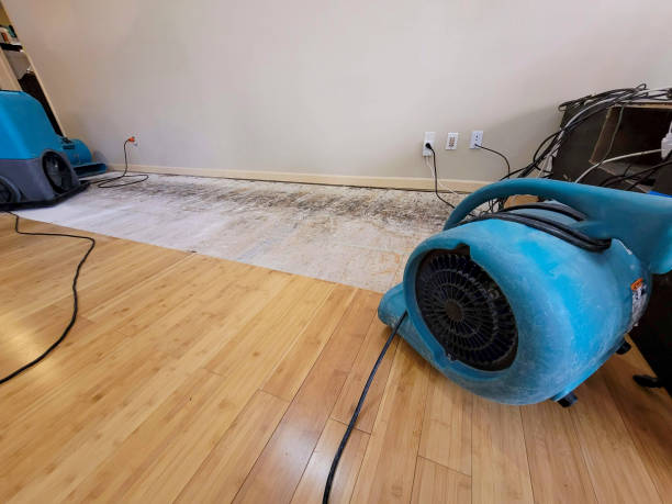 Professional Basement Flood Cleanup technician working in East Lyme, CT
